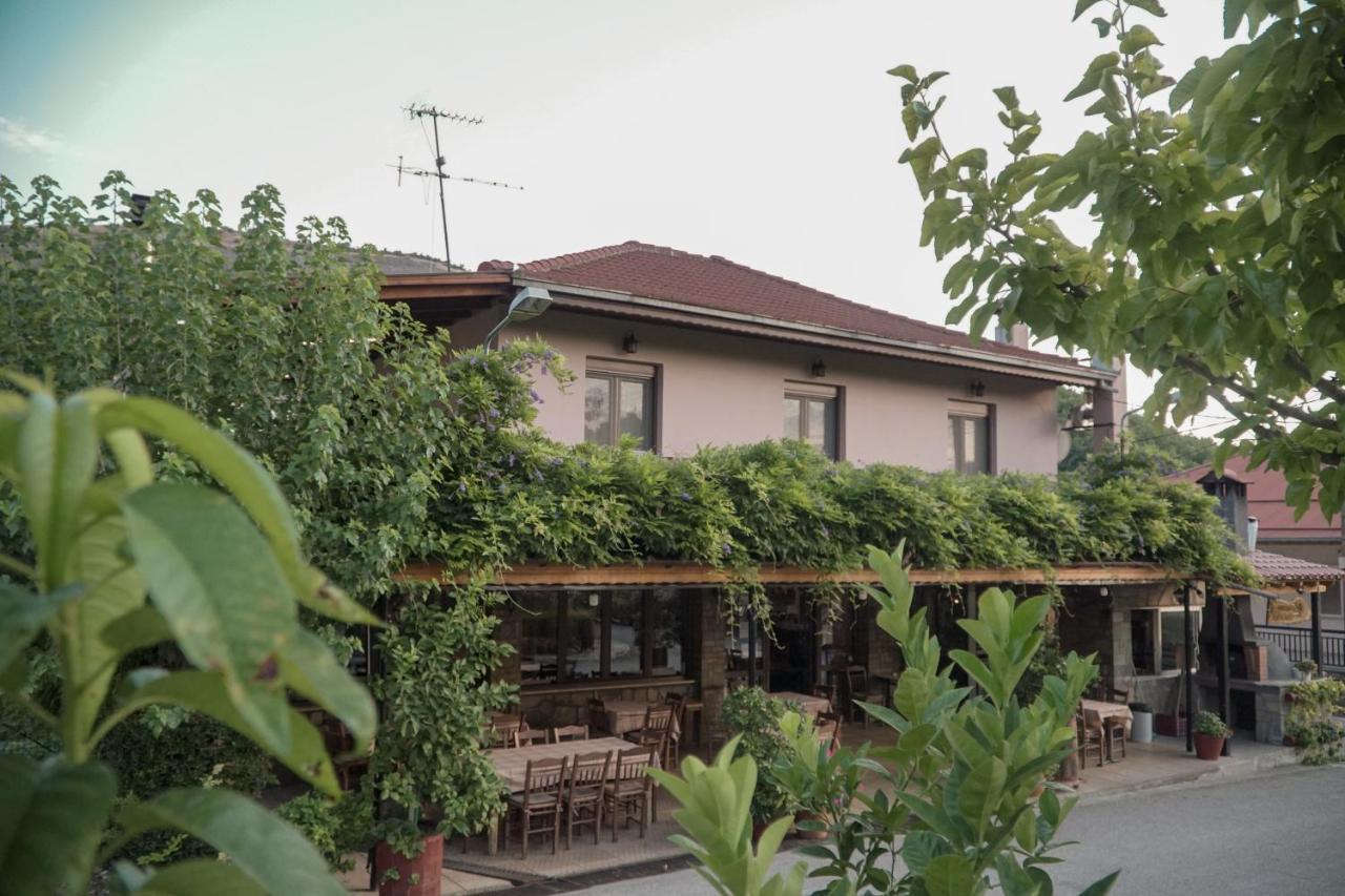 Arados Family Residence Καλαμπάκα Εξωτερικό φωτογραφία